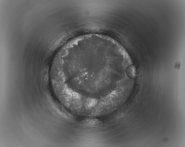 X0000112360642200909101258