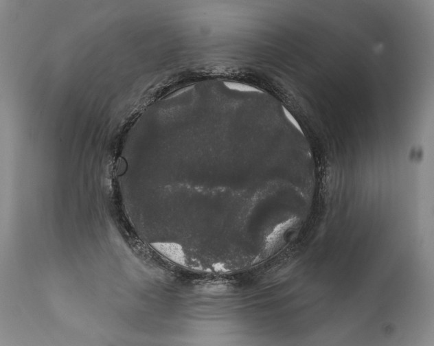 X0000112360643200909101258