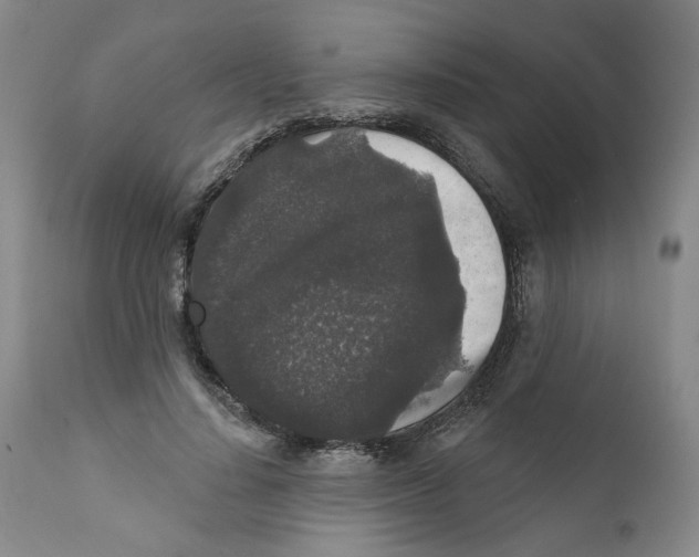 X0000112360644200909101258