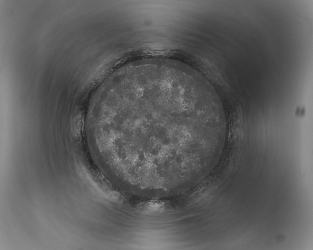 X0000112360647200909101258