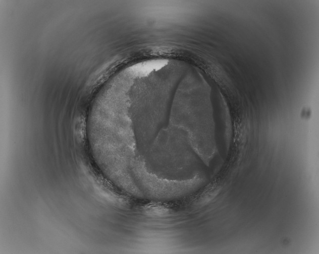 X0000112360648200909101258