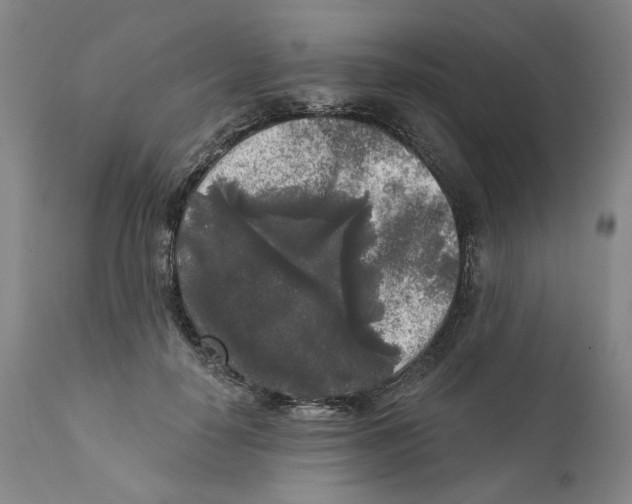 X0000112360650200909101258
