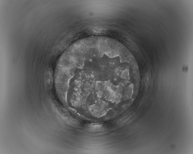 X0000112360651200909101258
