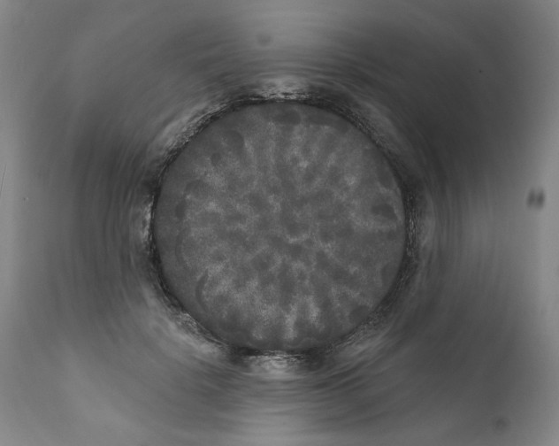 X0000112360652200909101258