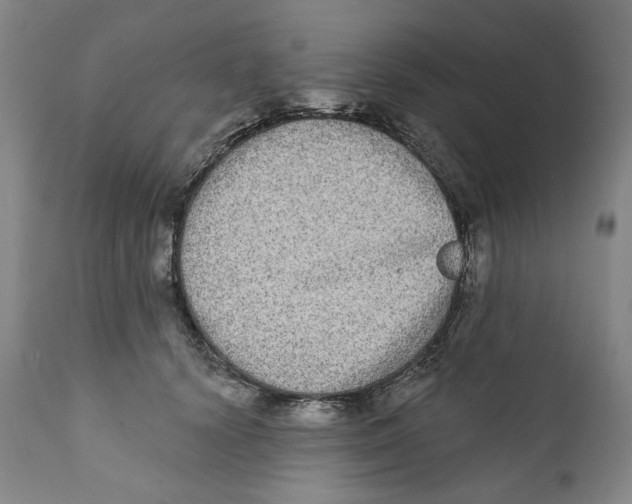 X0000112360656200909101258
