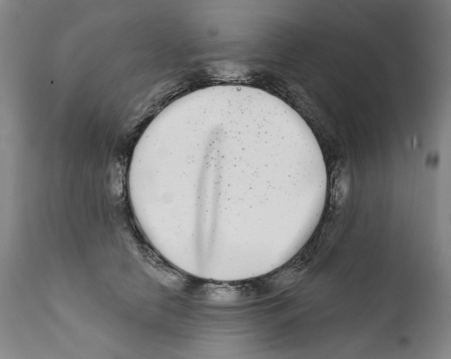 X0000112360658200909101258