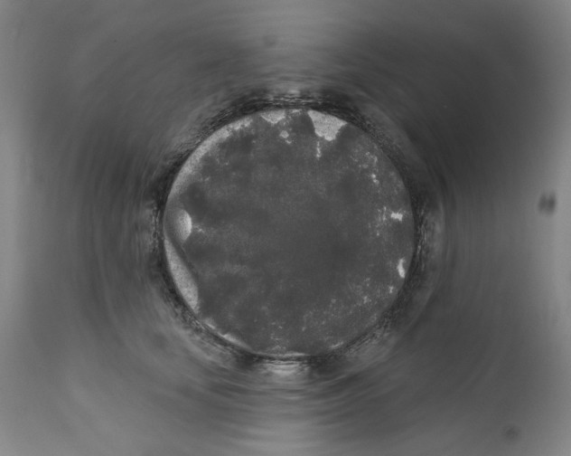 X0000112360659200909101258