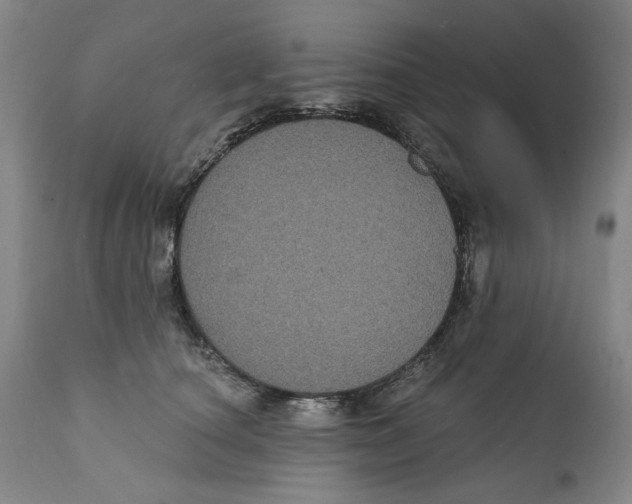 X0000112360660200909101258