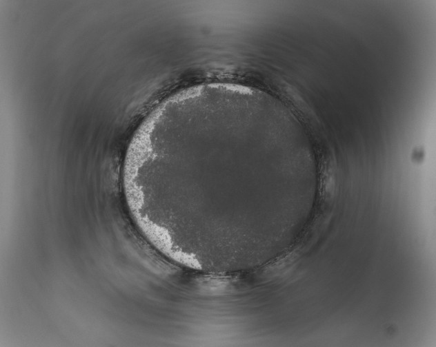 X0000112360661200909101258