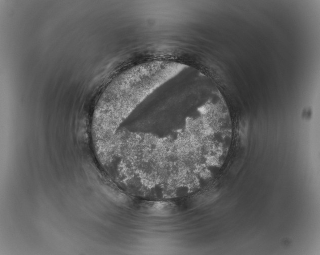 X0000112360663200909101258