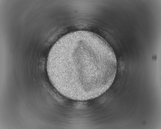 X0000112360664200909101258