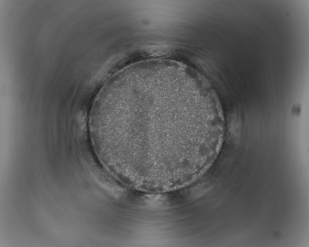 X0000112360667200909101258