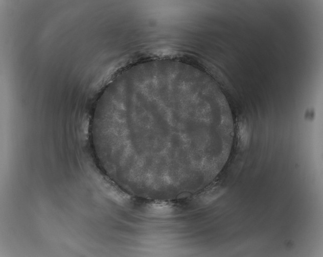 X0000112360668200909101258