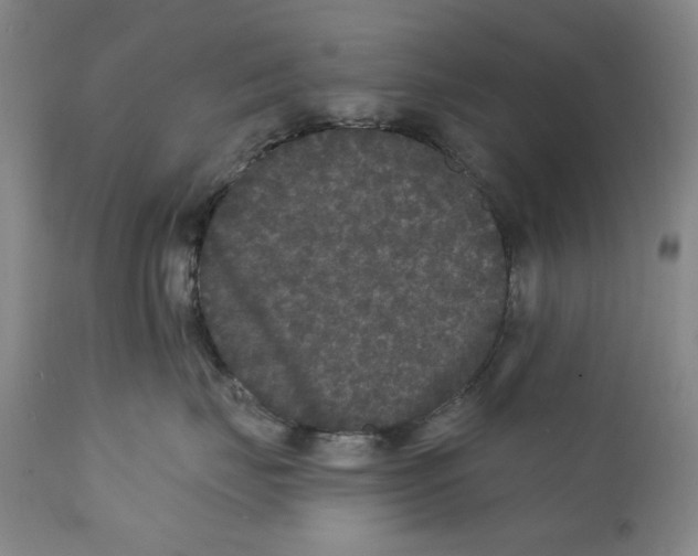 X0000112360671200909101258