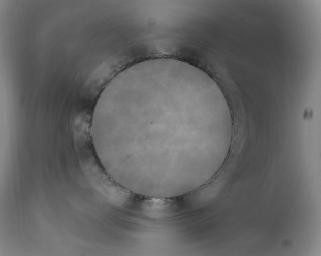 X0000112360672200909101258