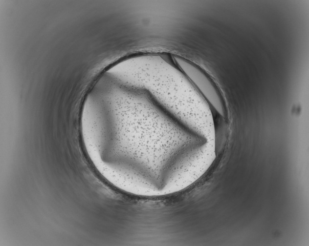 X0000112360673200909101257