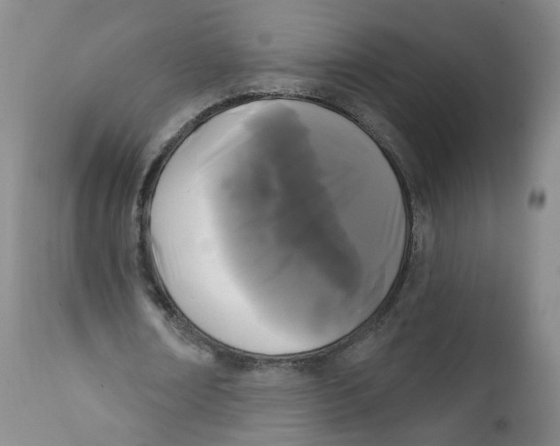 X0000112360674200909101257