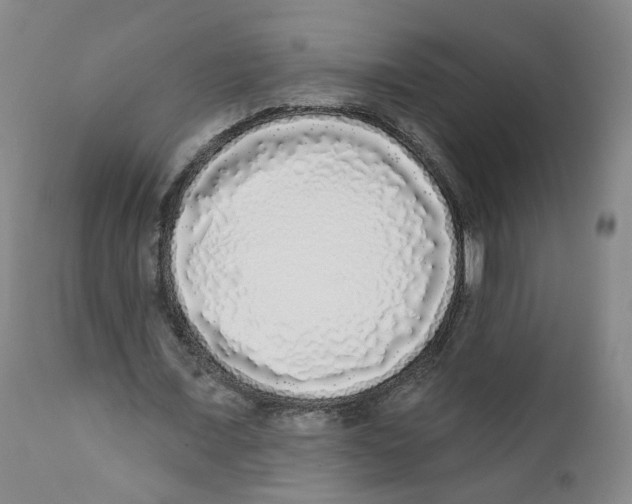 X0000112360675200909101257