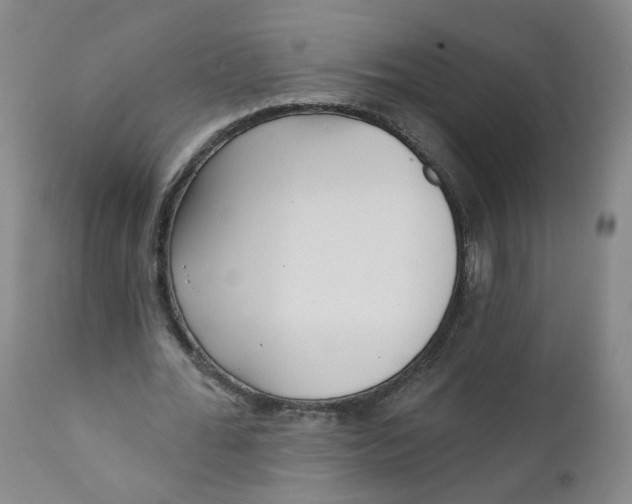 X0000112360676200909101257