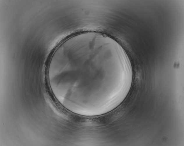 X0000112360678200909101257