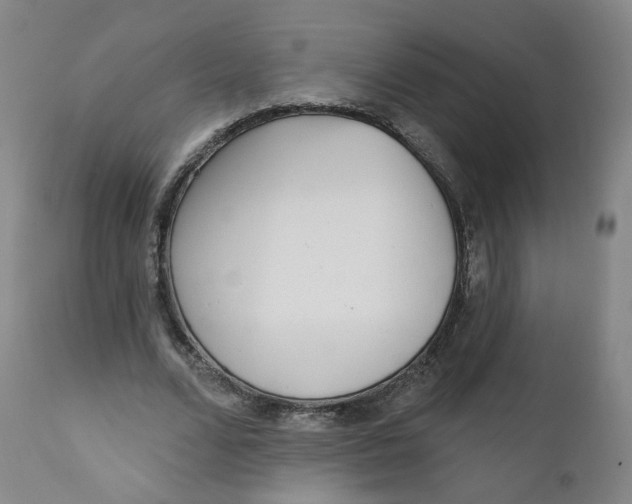 X0000112360680200909101257