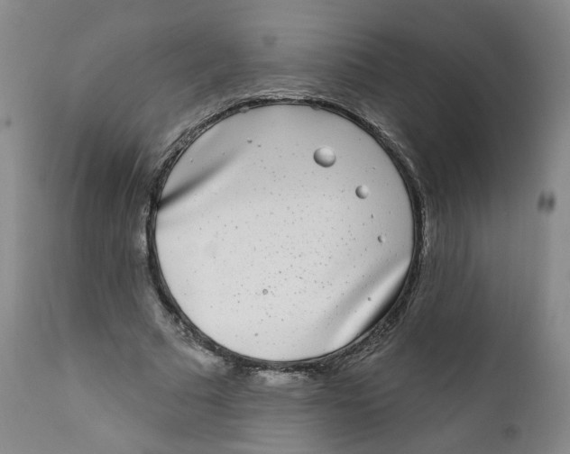 X0000112360681200909101257