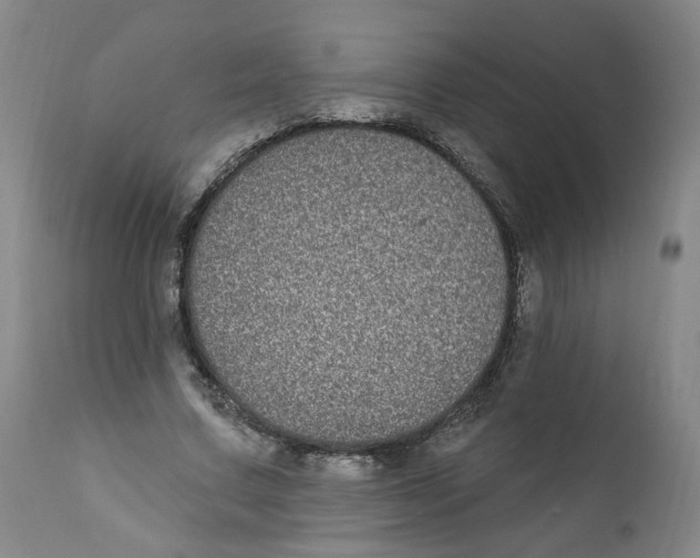 X0000112360683200909101257