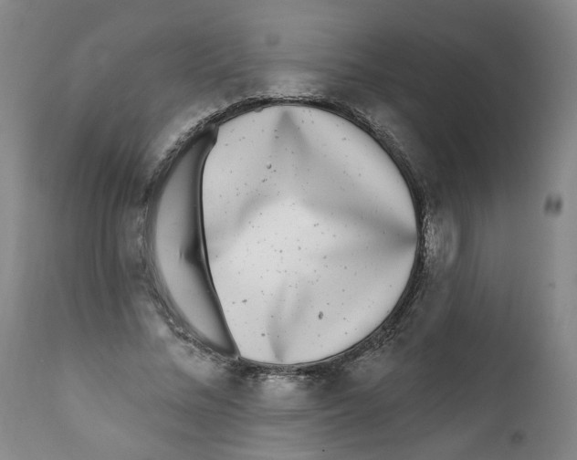 X0000112360684200909101257