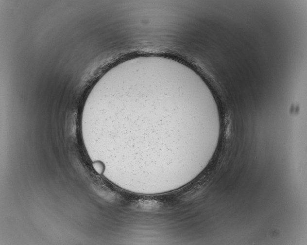 X0000112360685200909101257