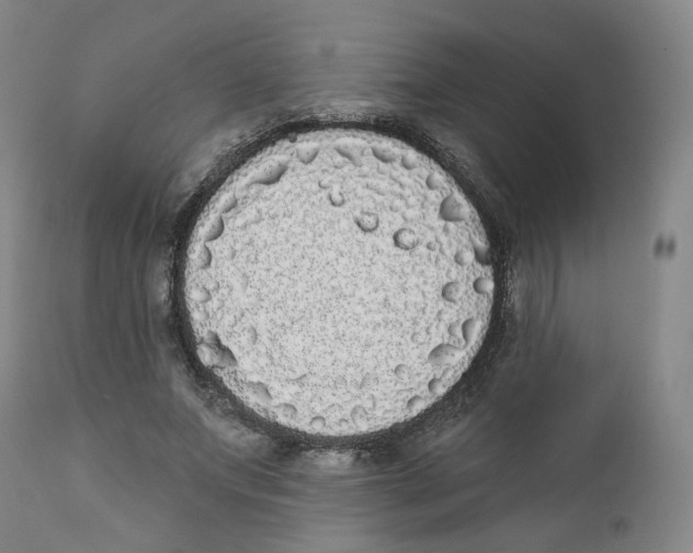 X0000112360687200909101257