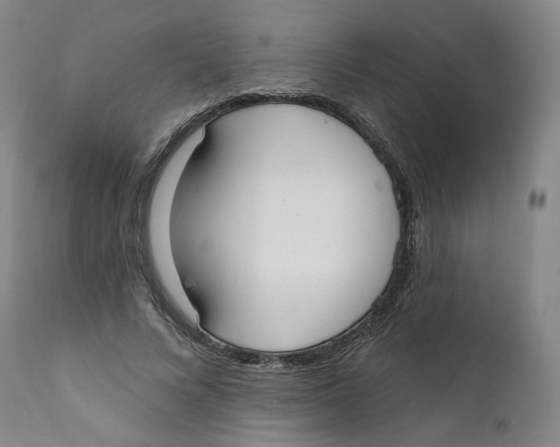 X0000112360688200909101257