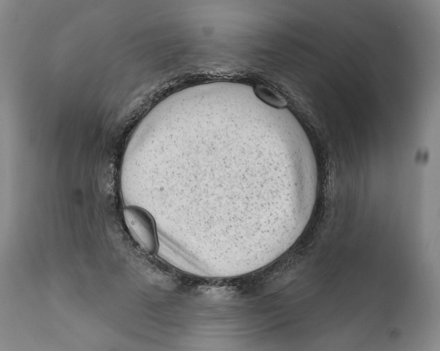X0000112360689200909101257
