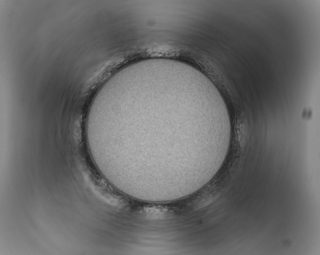 X0000112360690200909101257