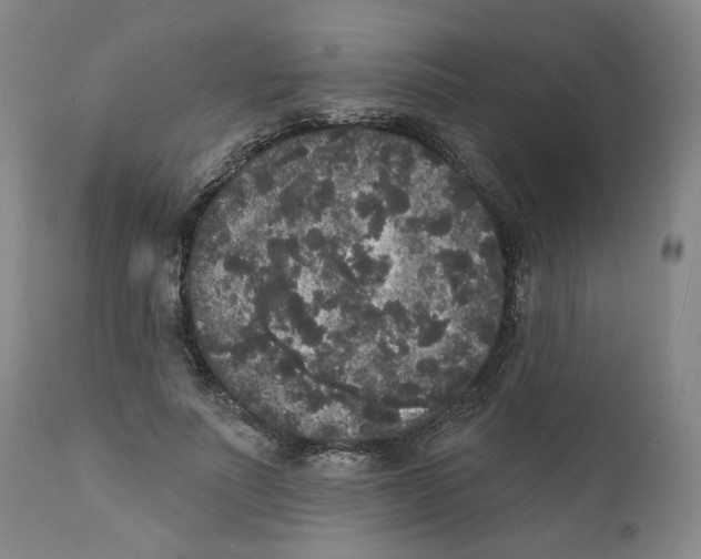 X0000112360691200909101257