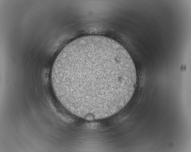 X0000112360695200909101257