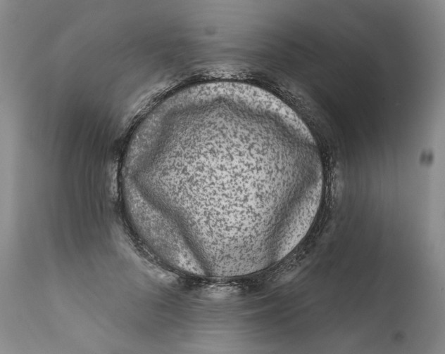 X0000112360696200909101257