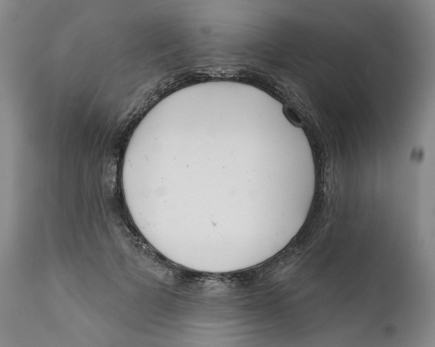 X0000112360697200909101257