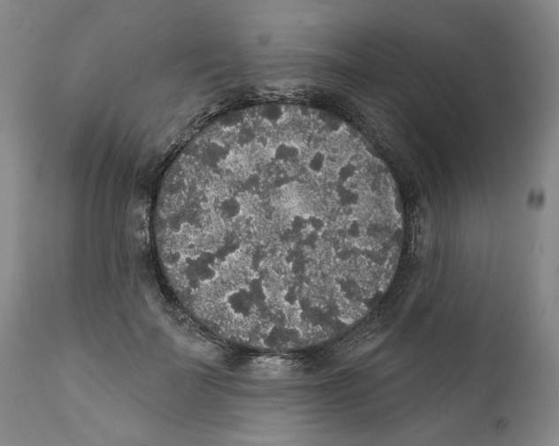 X0000112360699200909101257