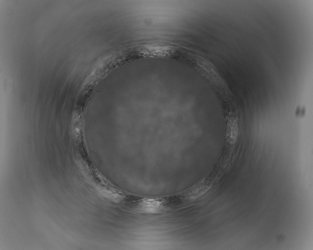 X0000112360701200909101257