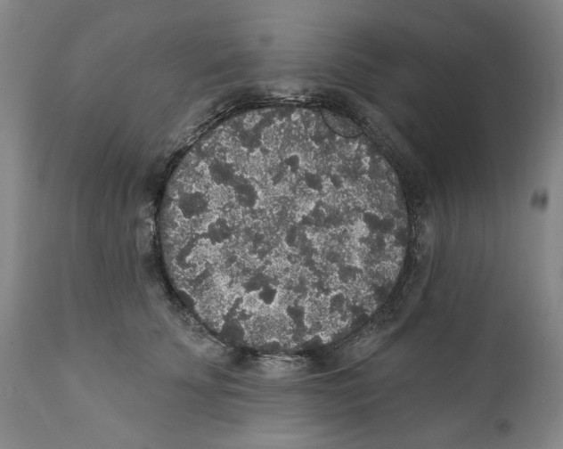 X0000112360707200909101257