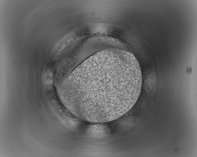 X0000112360708200909101257