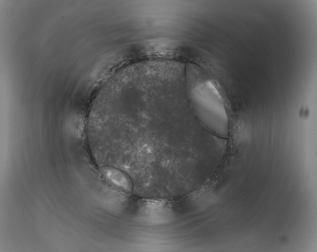 X0000112360709200909101257