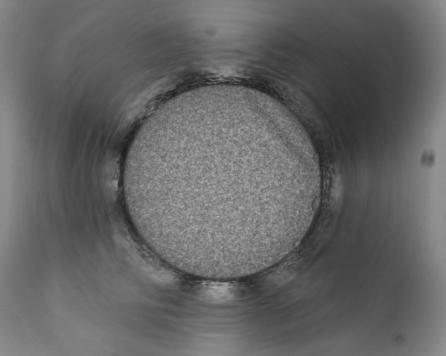 X0000112360710200909101257
