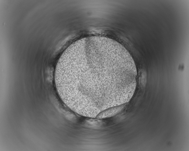X0000112360712200909101257
