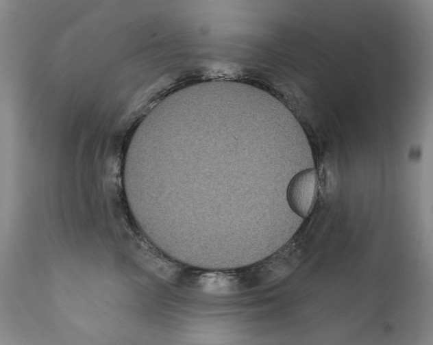X0000112360714200909101257
