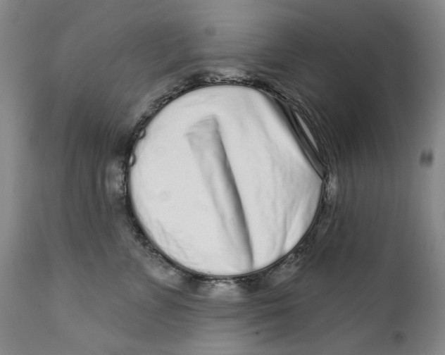 X0000112360715200909101257