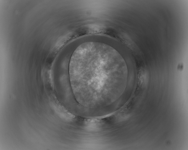 X0000112360716200909101257
