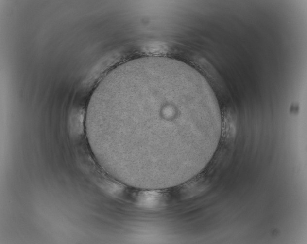 X0000112360717200909101257
