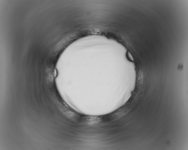X0000112360719200909101257