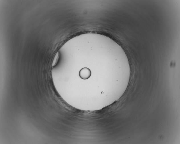 X0000112360720200909101257